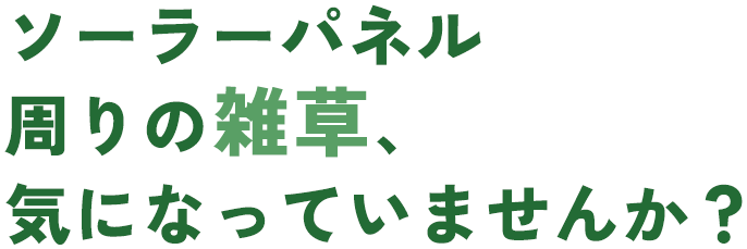 ソーラーパネル周りの雑草、気になっていませんか？
